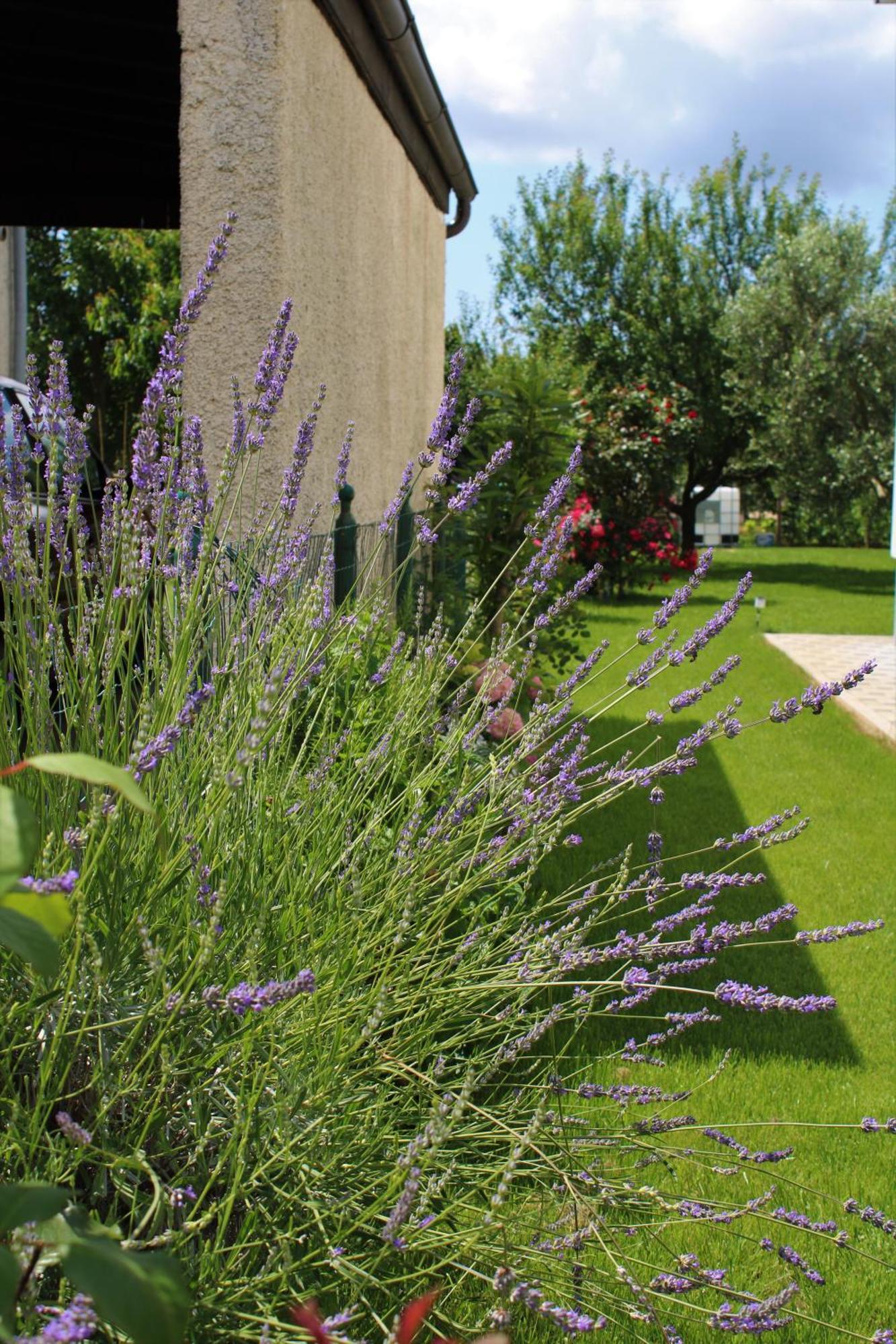 PUY Apartments Nelle מראה חיצוני תמונה